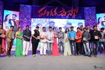 Pandaga Chesko Movie Audio Launch